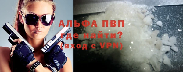 гашик Пересвет