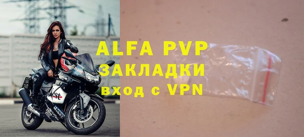 гашик Пересвет