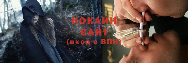 прущие грибы Алзамай