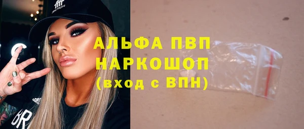 гашик Пересвет