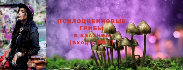 прущие грибы Алзамай